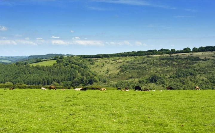 Alojamento de Acomodação e Pequeno-almoço Zeal Farm Dulverton